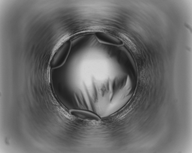 X0000096141180200802081341