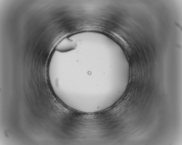 X0000096141182200802081341