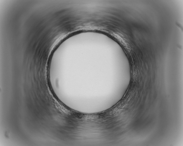 X0000096141183200802081341