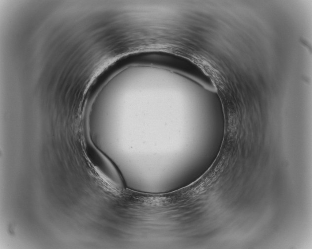 X0000096141184200802081341
