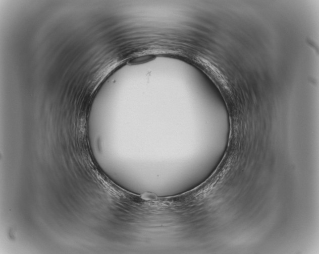 X0000096141185200802081341