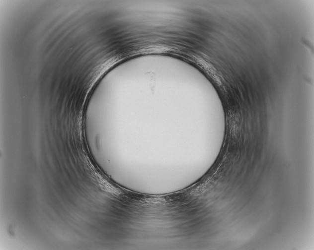 X0000096141186200802081341
