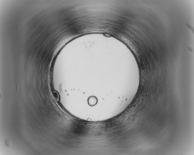 X0000096141187200802081341