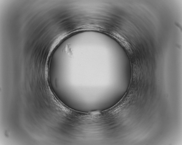 X0000096141188200802081341