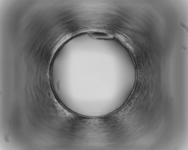 X0000096141189200802081341