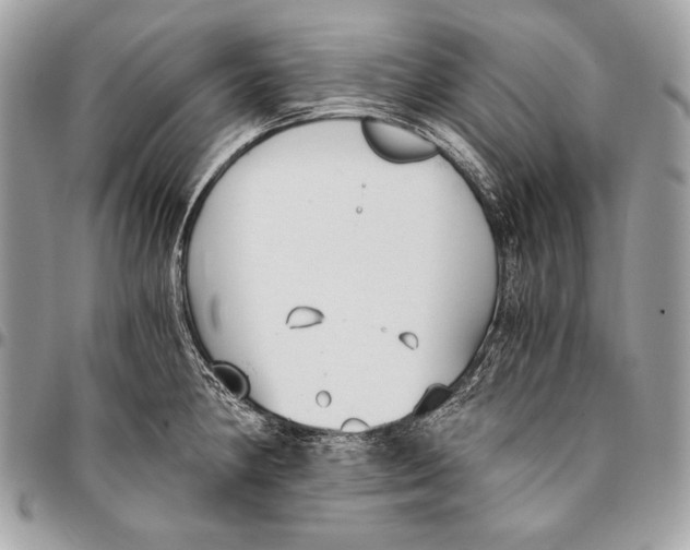 X0000096141190200802081341