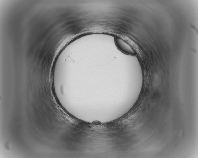 X0000096141191200802081341
