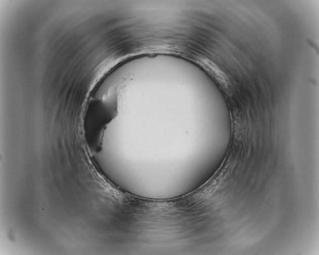 X0000096141192200802081341