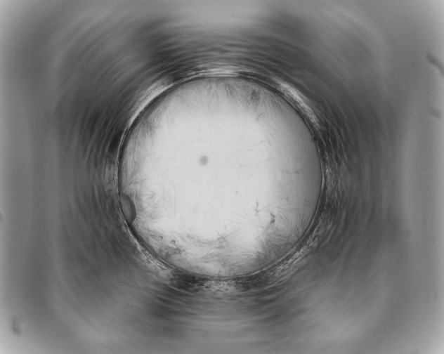 X0000096141194200802081341