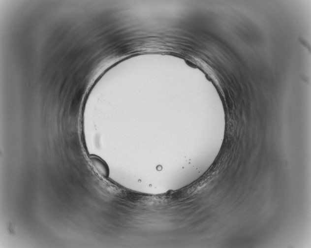 X0000096141195200802081341