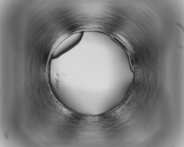 X0000096141196200802081341