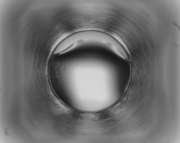 X0000096141197200802081341