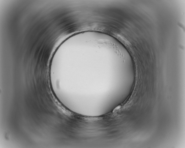 X0000096141200200802081341
