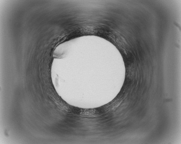 X0000096141201200802081340