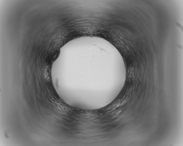X0000096141202200802081340
