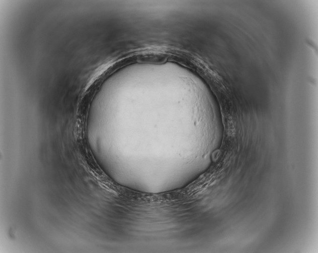 X0000096141208200802081340