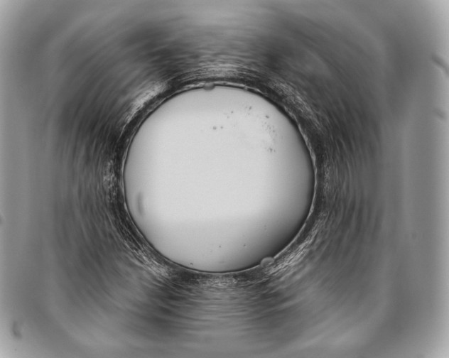 X0000096141210200802081340