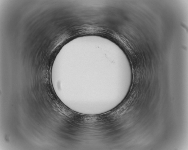 X0000096141211200802081340
