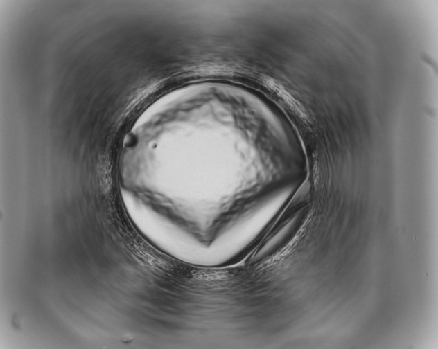 X0000096141213200802081340