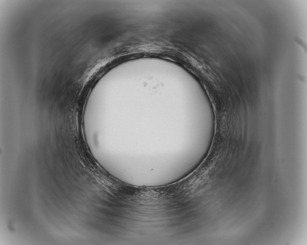 X0000096141214200802081340