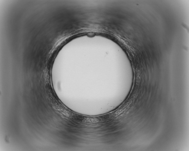 X0000096141215200802081340