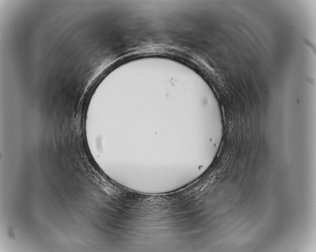 X0000096141216200802081341