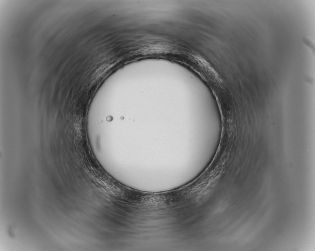 X0000096141217200802081341
