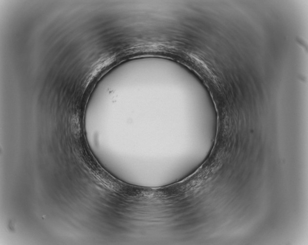 X0000096141218200802081341