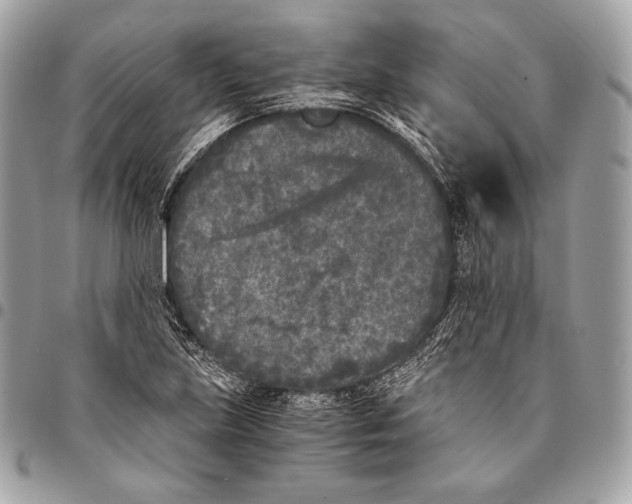 X0000096141219200802081341