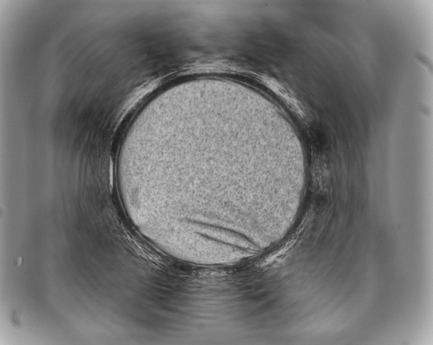 X0000096141221200802081341