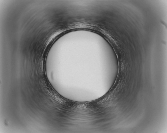 X0000096141222200802081341