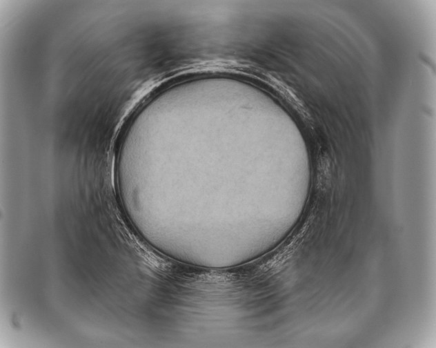 X0000096141224200802081341