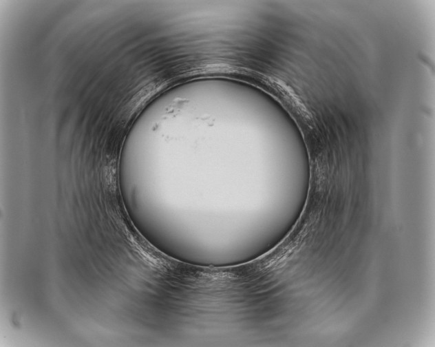 X0000096141225200802081341