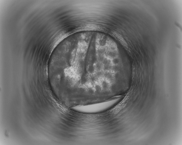 X0000096141226200802081341