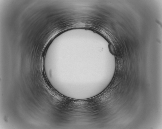 X0000096141227200802081341