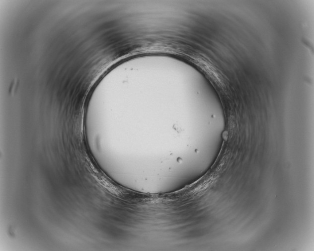 X0000096141228200802081341