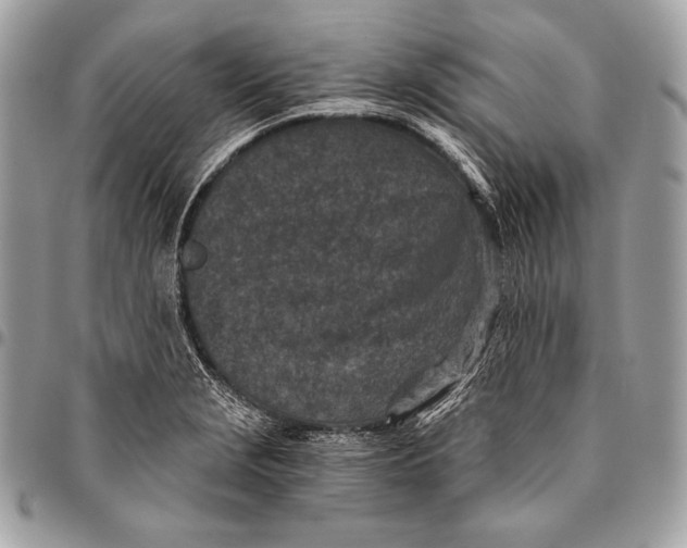 X0000096141229200802081341