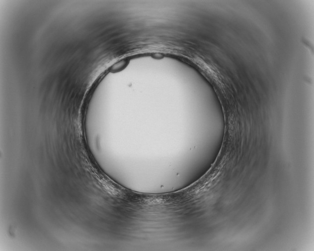 X0000096141230200802081341