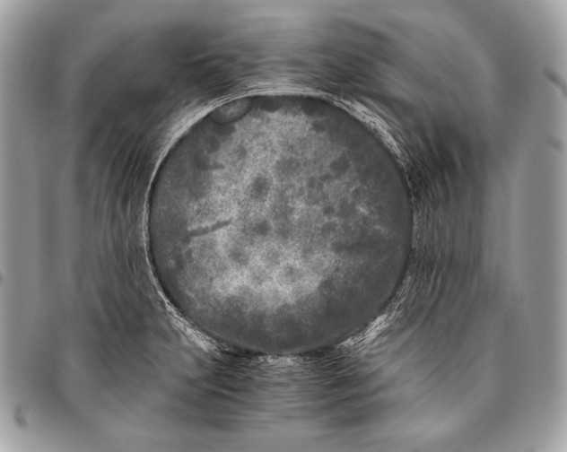 X0000096141231200802081341