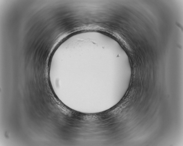 X0000096141232200802081341