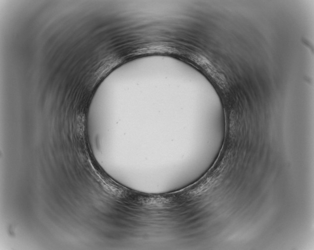 X0000096141233200802081341