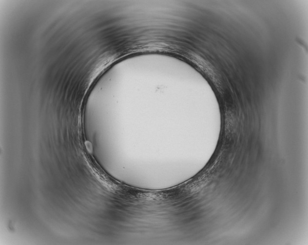 X0000096141234200802081341