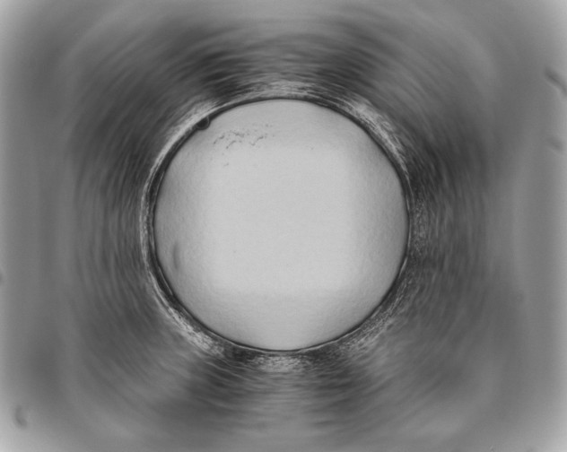 X0000096141235200802081341