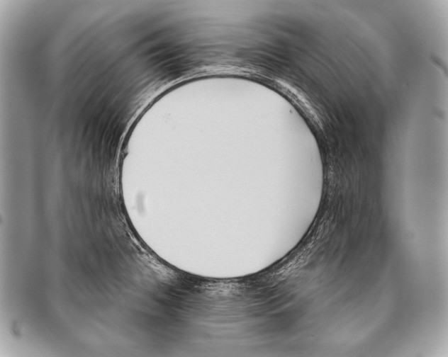 X0000096141236200802081341