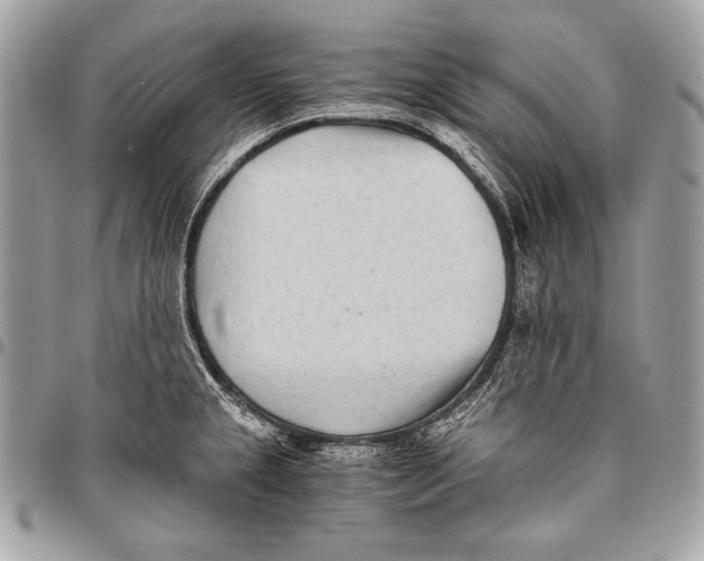 X0000096141237200802081341