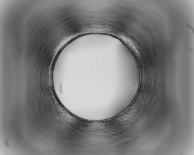 X0000096141238200802081341