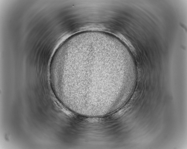 X0000096141240200802081341