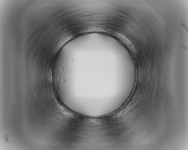 X0000096141241200802081341