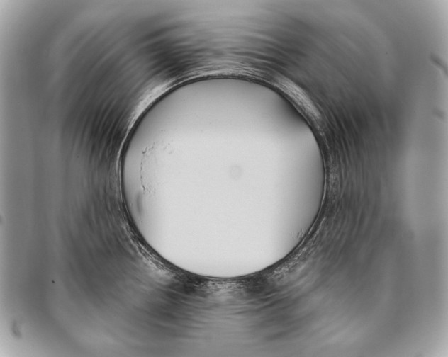 X0000096141242200802081341