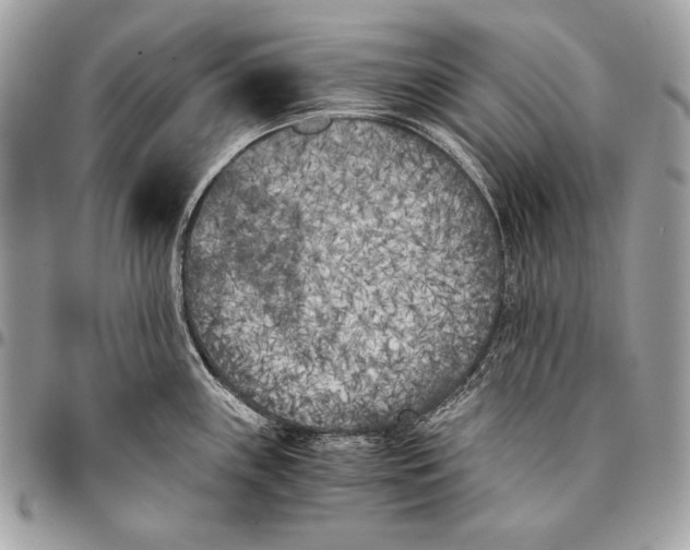 X0000096141243200802081341
